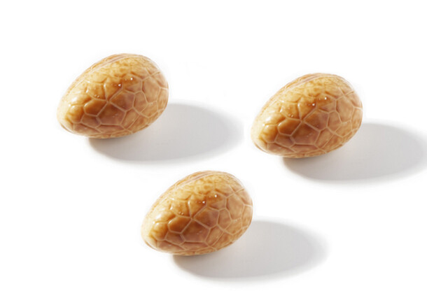 Tosca Bonbonei Wit Mocca/Room