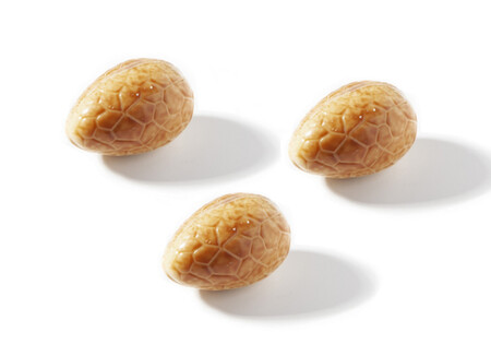 Tosca Bonbonei Wit Mocca/Room