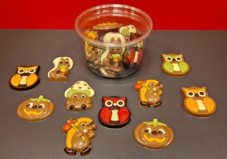 Herfstchocolaatjes gemengd bakje 15stuks